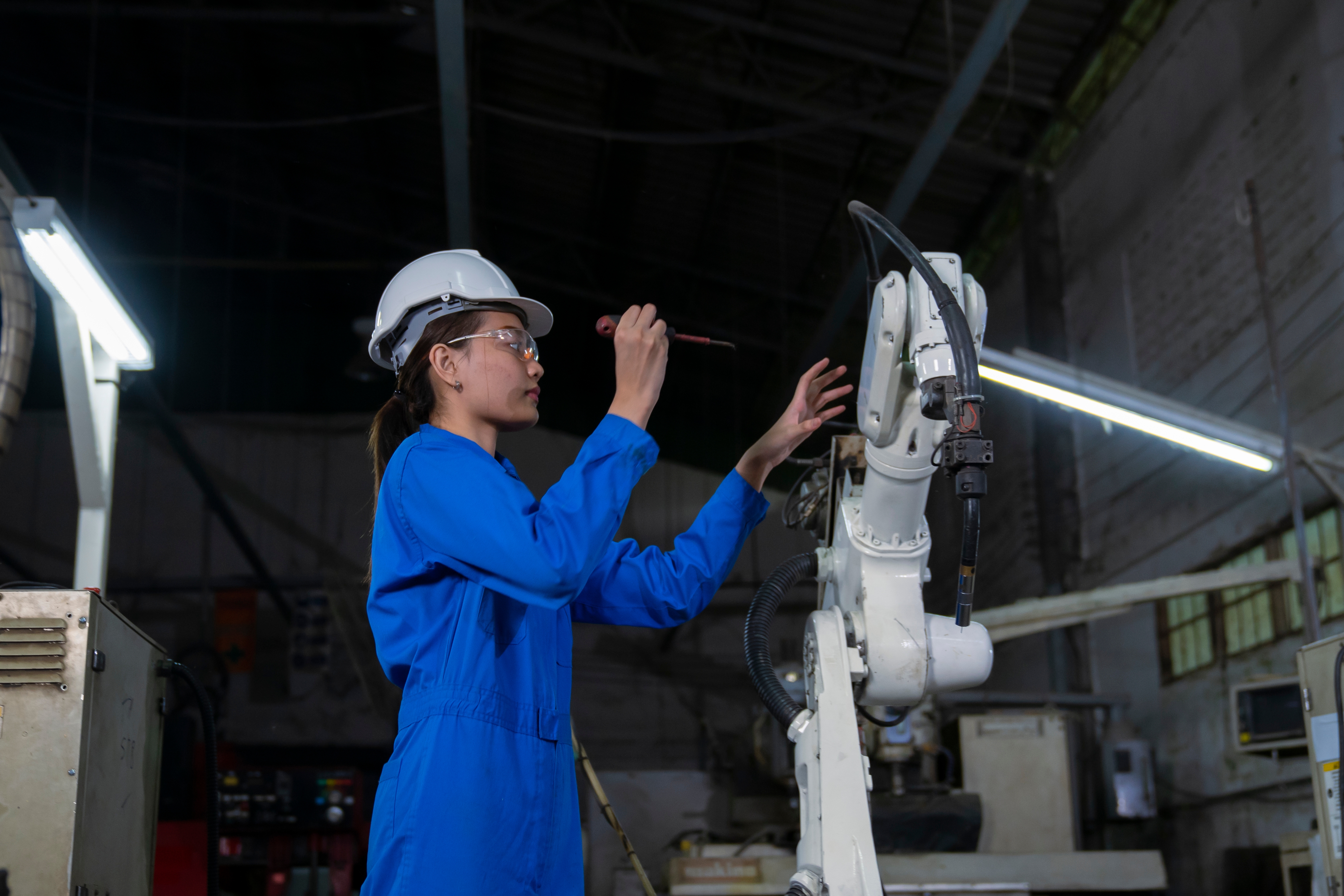 Inspection & Diagnostics